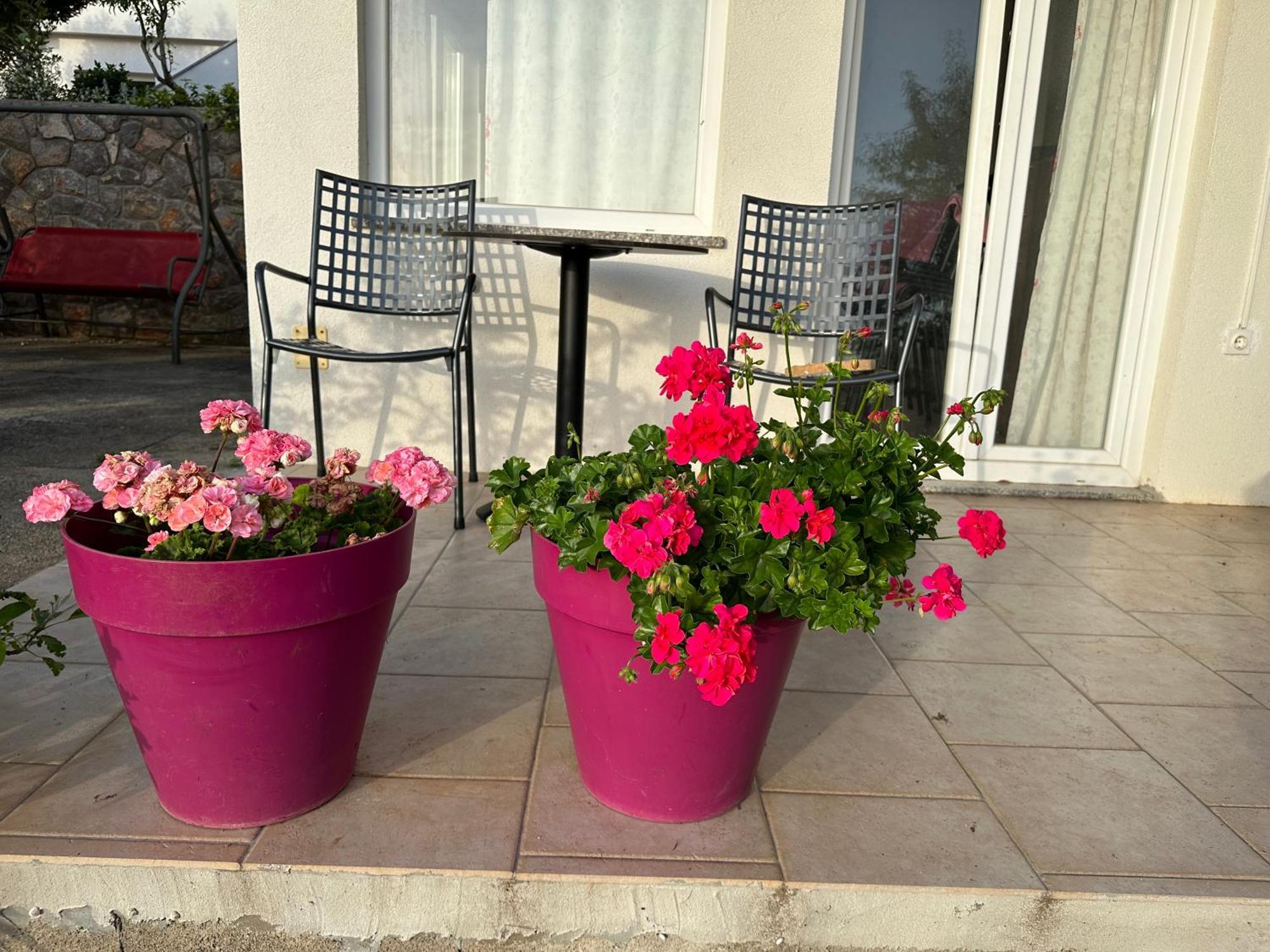 Villa Beba - Apartments เซนญ์ ภายนอก รูปภาพ